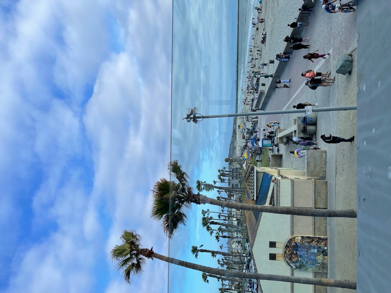 Palm trees along a busy beachfront boardwalk in San Diego, California.
